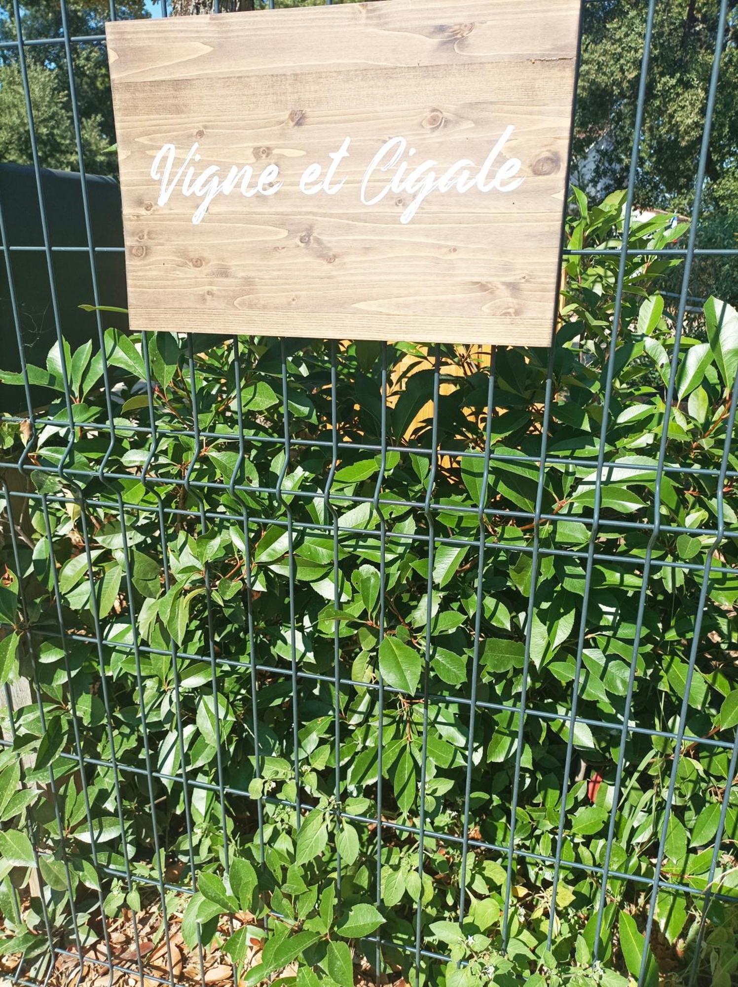 Appartement Vigne et cigale à Le Thoronet Extérieur photo